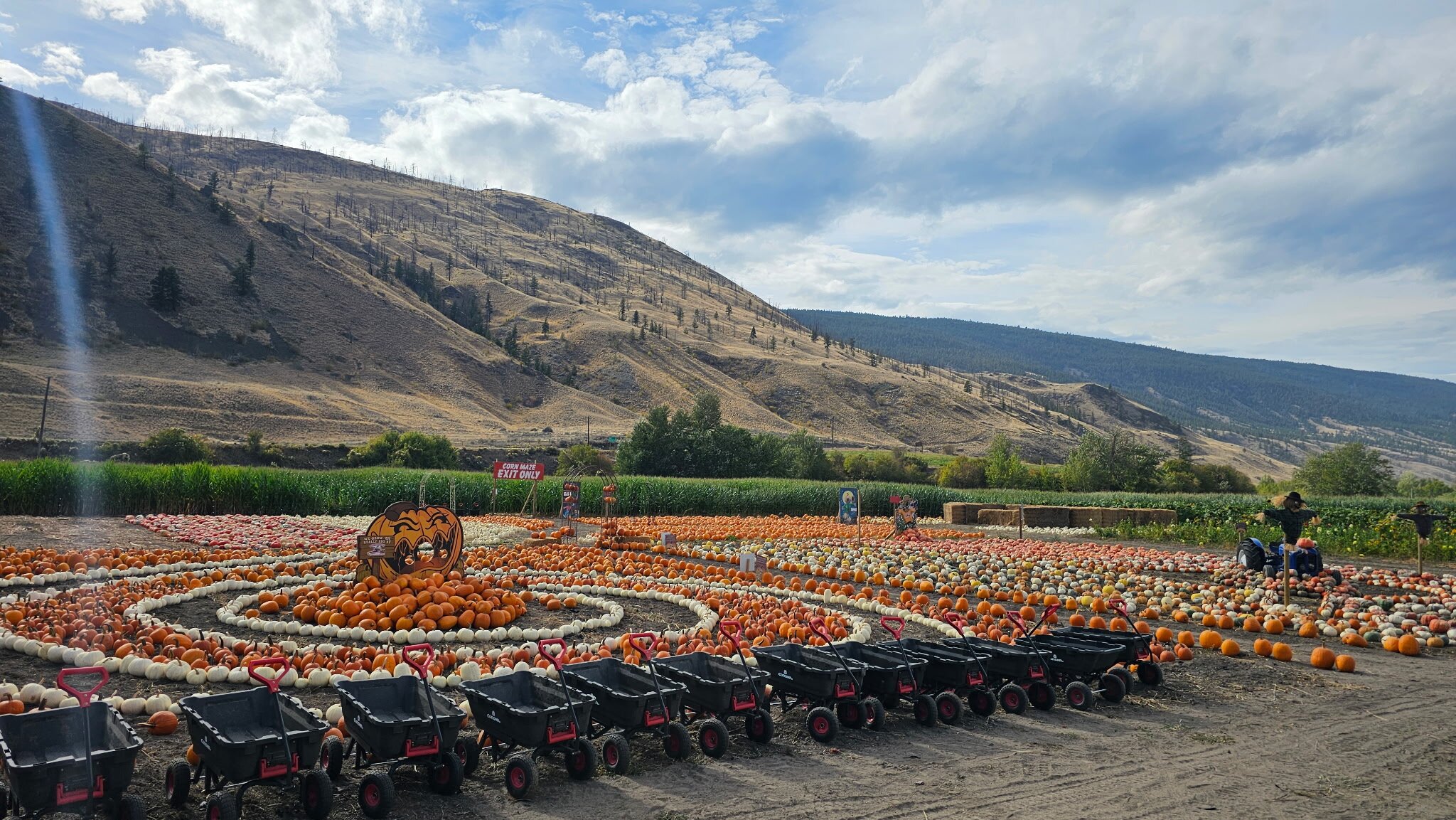 Horsting's Farm Pumpkin Patch Horsting's Farm Pumpkin Patch