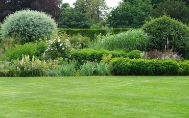 How to Create Your Own Lawn? How to Create Your Own Lawn?