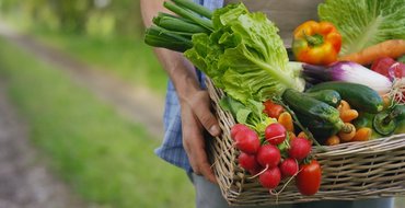 Tips and Tricks to Level Up Your Vegetable Garden Tips and Tricks to Level Up Your Vegetable Garden